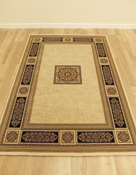 Da Vinci Rug 57801 6223