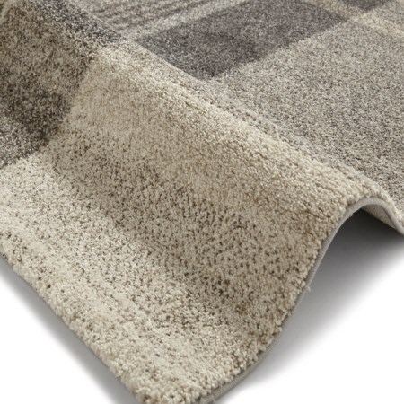 Elegant Beige Grey Rug 4892 