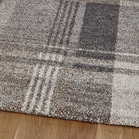 Elegant Beige Grey Rug 4892 