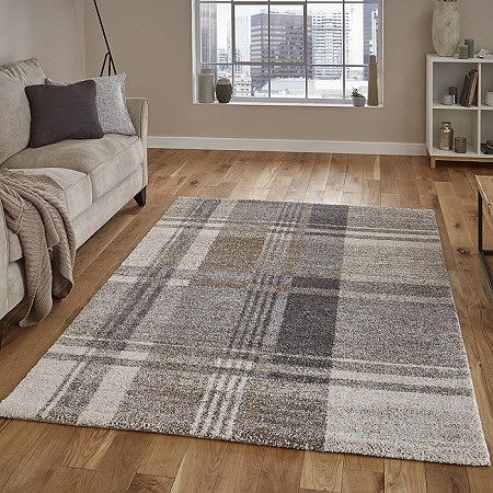 Elegant Beige Grey Rug 4892 