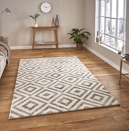 Elegant Beige Rug 4893