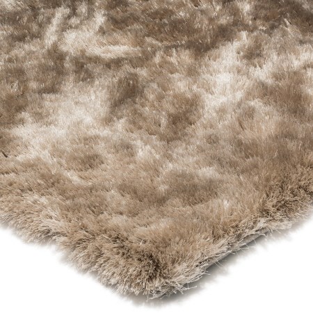 Whisper Rug Champagne